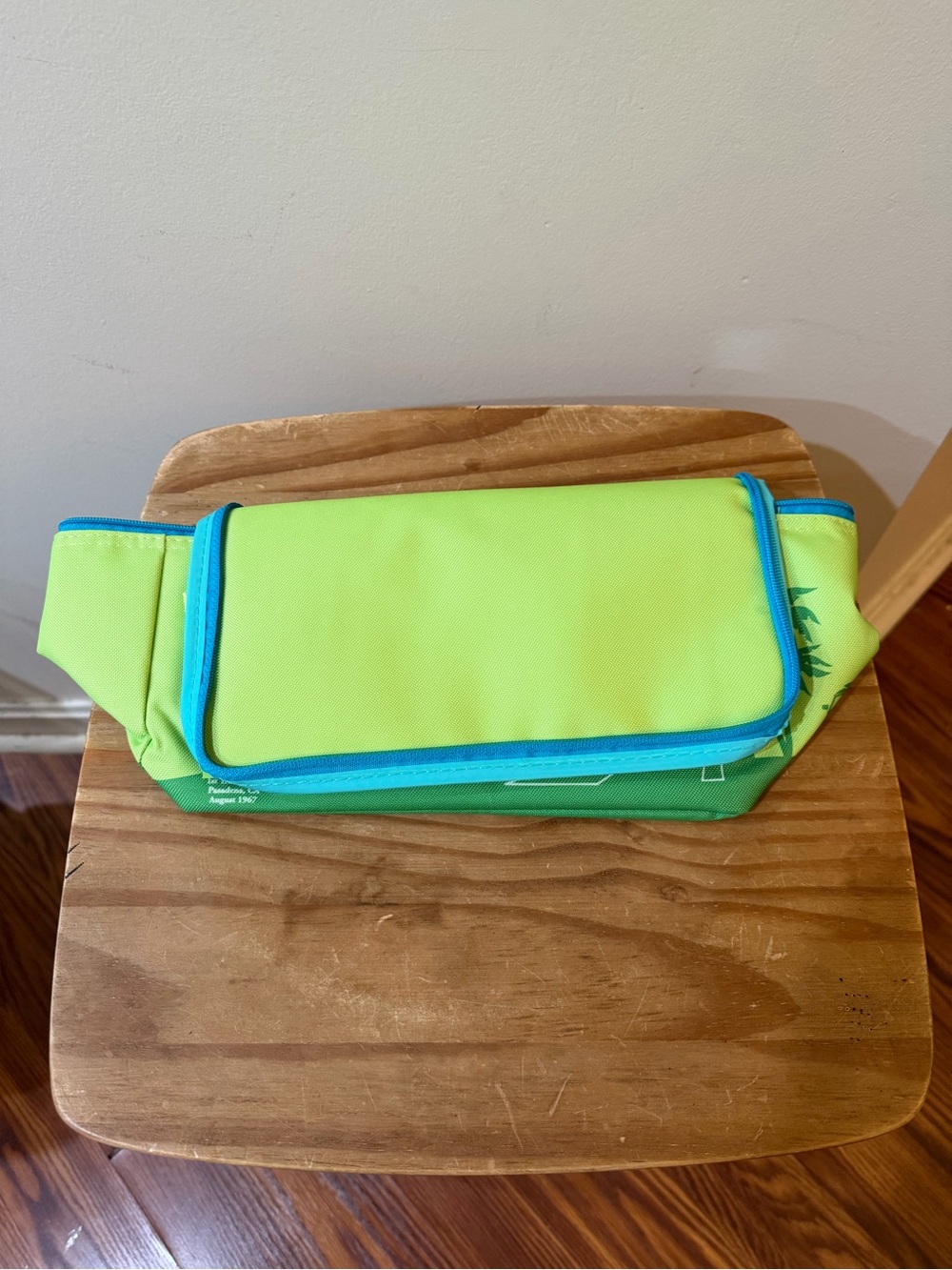 NWT Trader Joe’s Mini Insulated Bag - Cooler Lunch Box Toiletry Bag - Picture 7 of 7